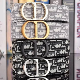 DIOR Belt (17+ Styles）